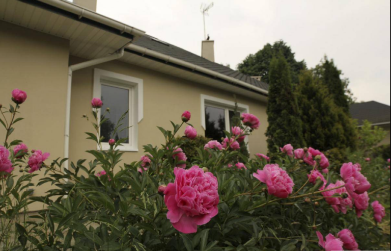 Dom Seniora Villa Peonia