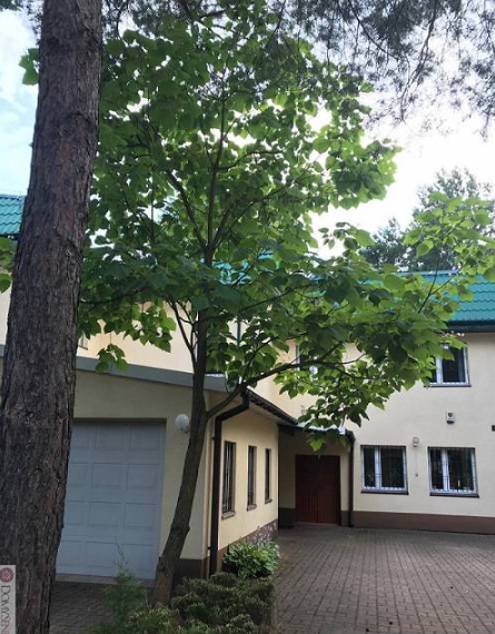 Dom Seniora Dom Seniora