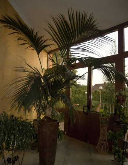 Dom Seniora Złote Borki Rezydencja dla Seniorów Jarnołtówek