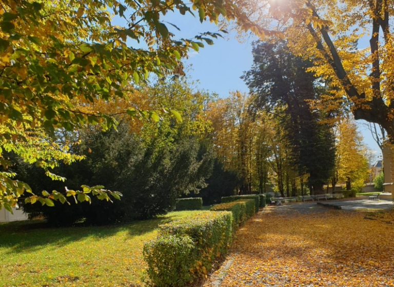 Dom Pomocy Społecznej w Legnickim Polu
