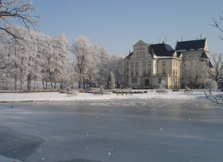 Dom Pomocy Społecznej dla Dorosłych Prząśnik