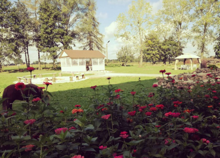 Dom Dziennego Pobytu w Mokowie- Opieka i Aktywność