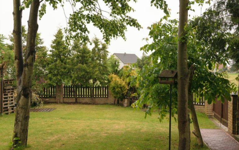 Dzienny dom opieki przyjaciele Jozefa