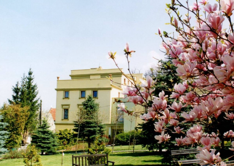 Dom Pomocy Społecznej Magnolia