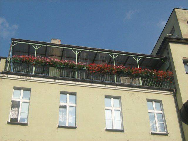 Dom Pomocy Społecznej im. bł. Edmunda Bojanowskiego